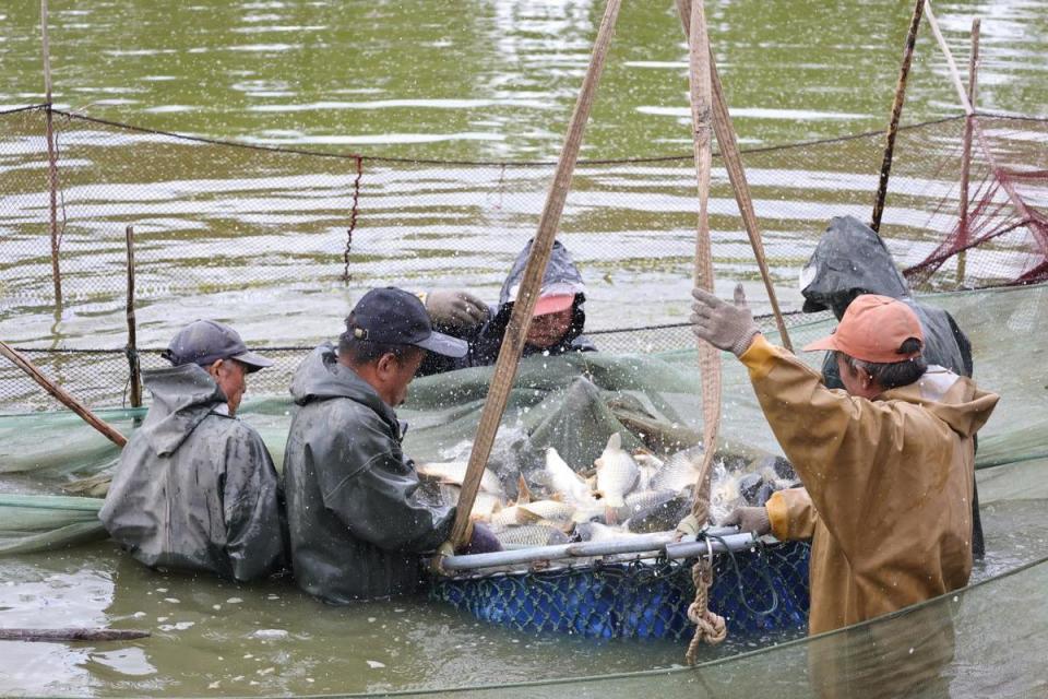 费潜力