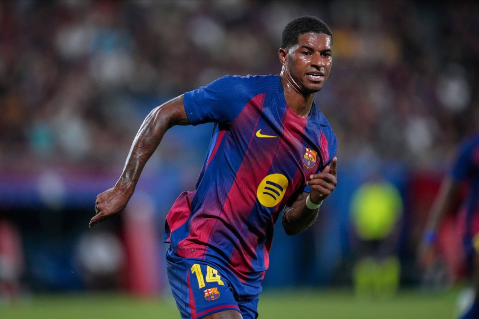 容和莱万等, 今年的工作