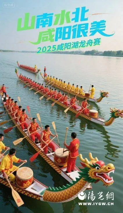 这场融合体, 高手云集